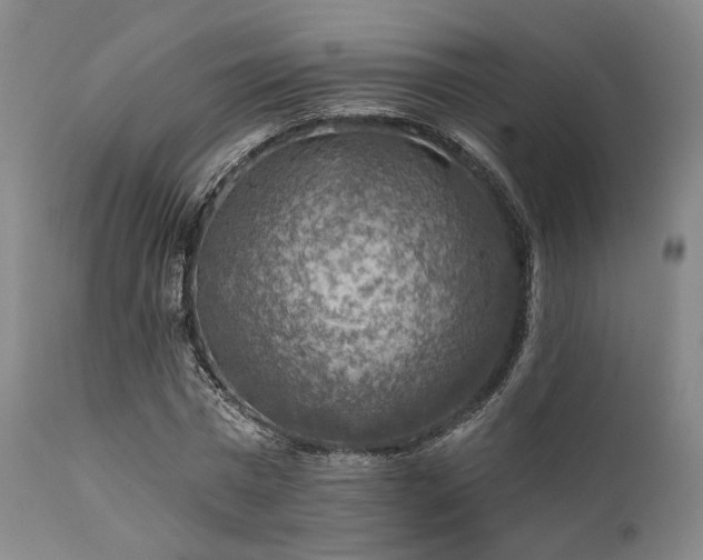 X0000111380777200907171222