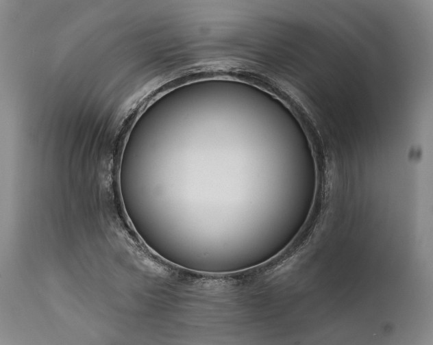 X0000111380778200907171222