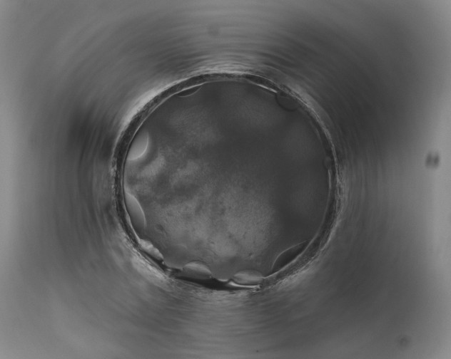 X0000111380779200907171222