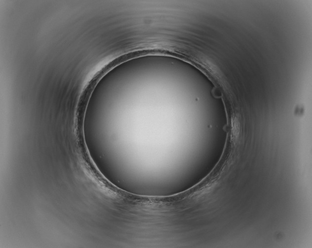 X0000111380780200907171222