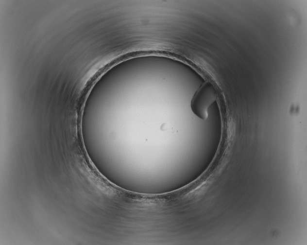 X0000111380781200907171221