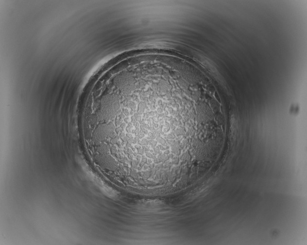 X0000111380784200907171221