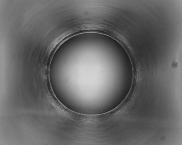 X0000111380786200907171221