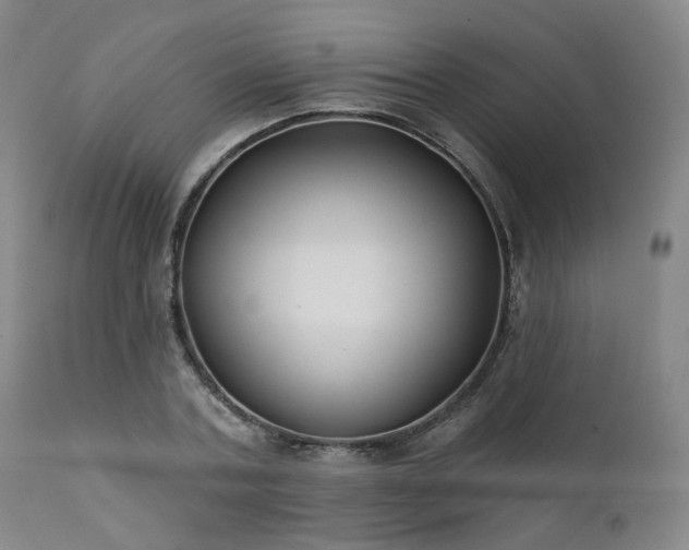 X0000111380787200907171221