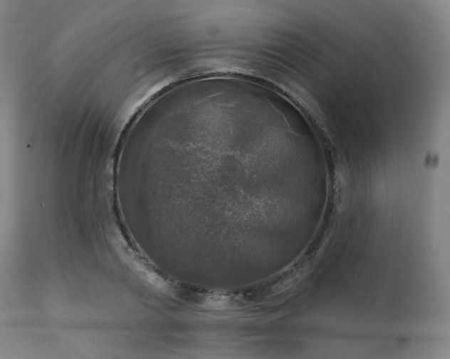 X0000111380790200907171221