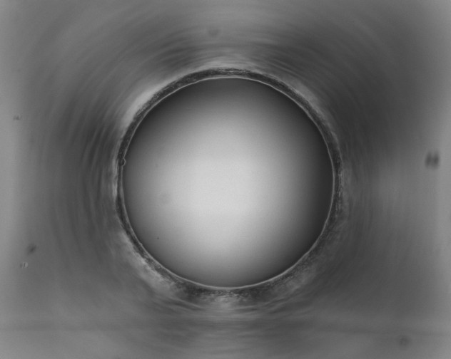 X0000111380791200907171221