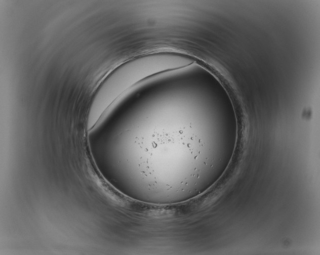 X0000111380793200907171221