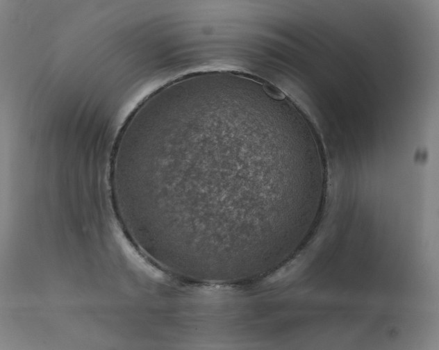 X0000111380797200907171221