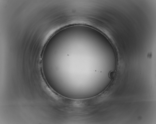 X0000111380799200907171221