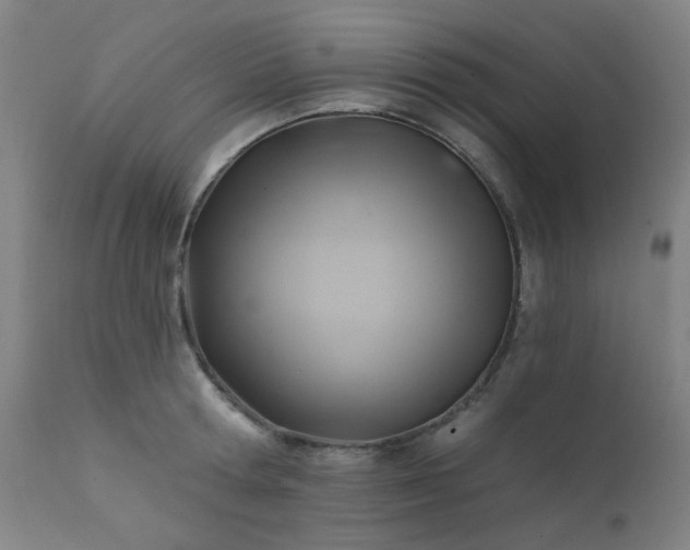 X0000111380802200907171221