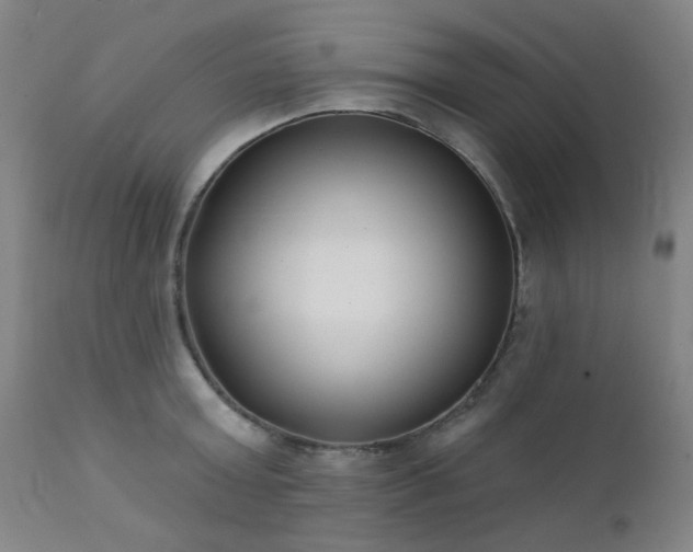 X0000111380803200907171221