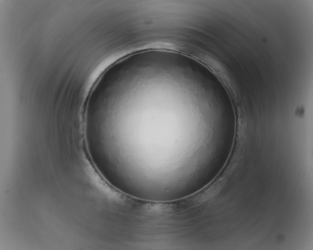 X0000111380808200907171221