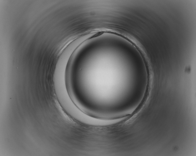 X0000111380809200907171221