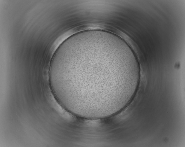 X0000111380810200907171221