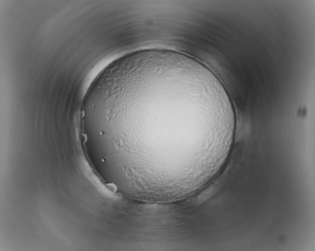 X0000111380812200907171221