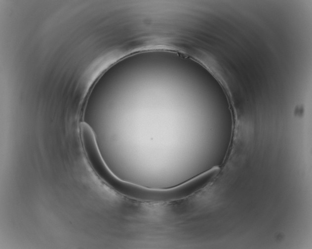 X0000111380813200907171221