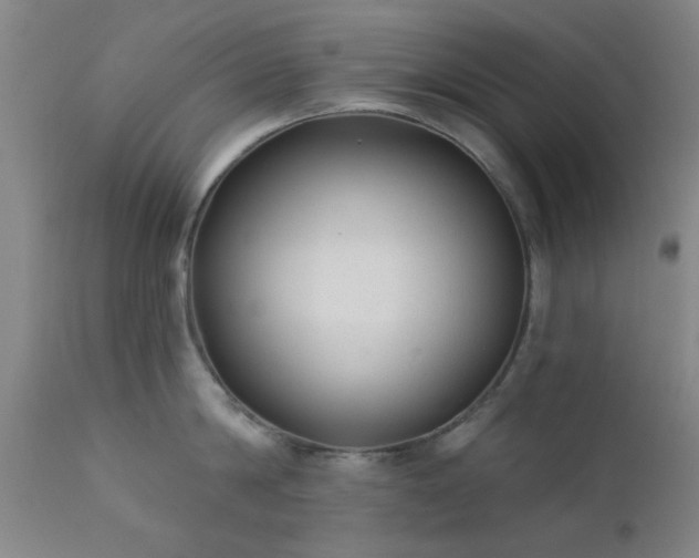 X0000111380814200907171221