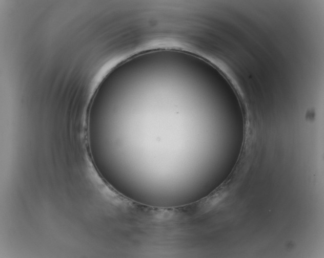 X0000111380815200907171221