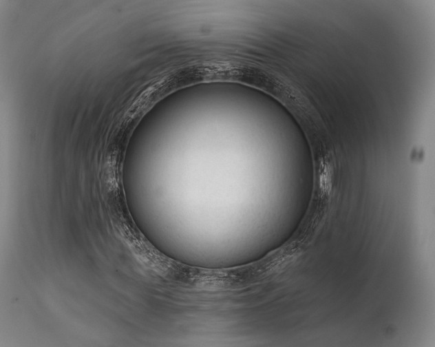 X0000111380819200907171220