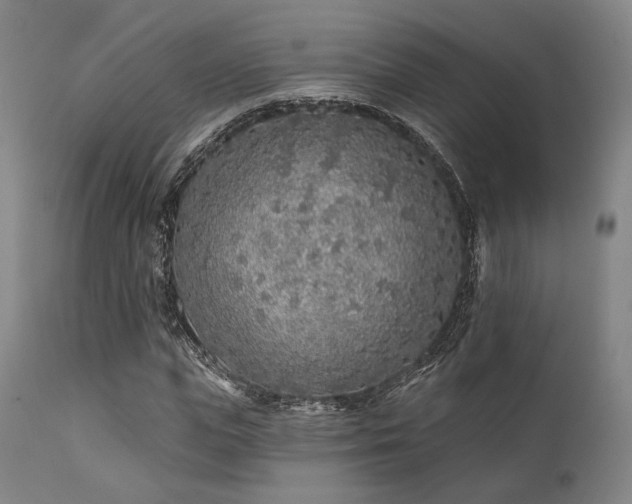 X0000111380823200907171220