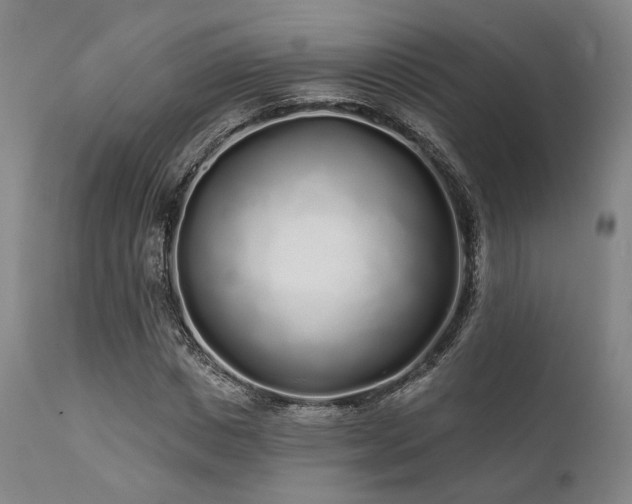 X0000111380825200907171220