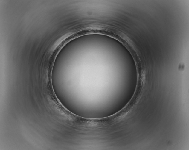 X0000111380829200907171220