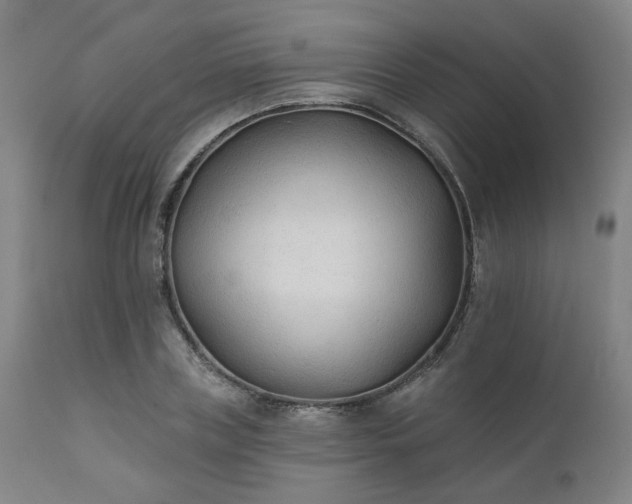 X0000111380835200907171220