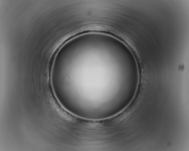 X0000111380837200907171220