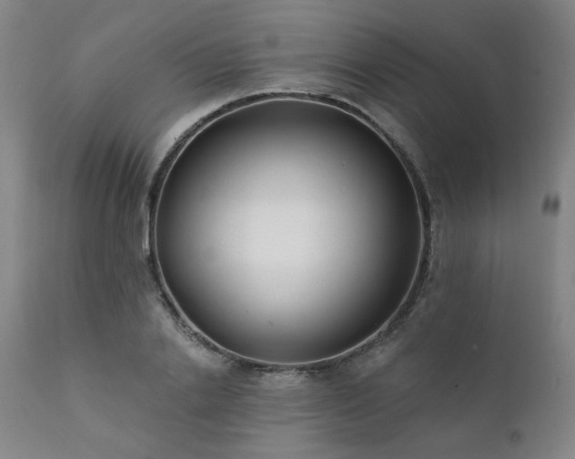 X0000111380838200907171220