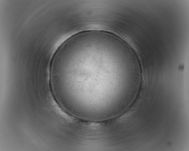 X0000111380839200907171220