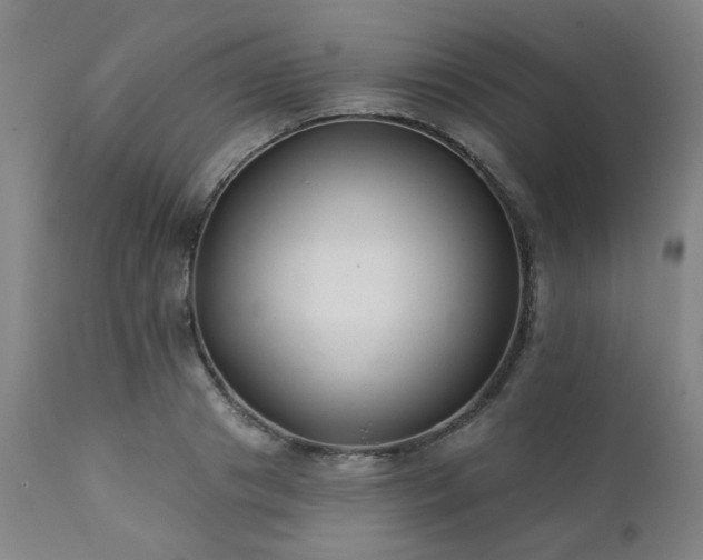 X0000111380841200907171221