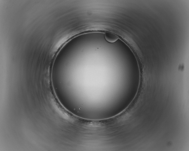 X0000111380842200907171221