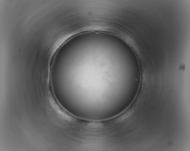 X0000111380844200907171221