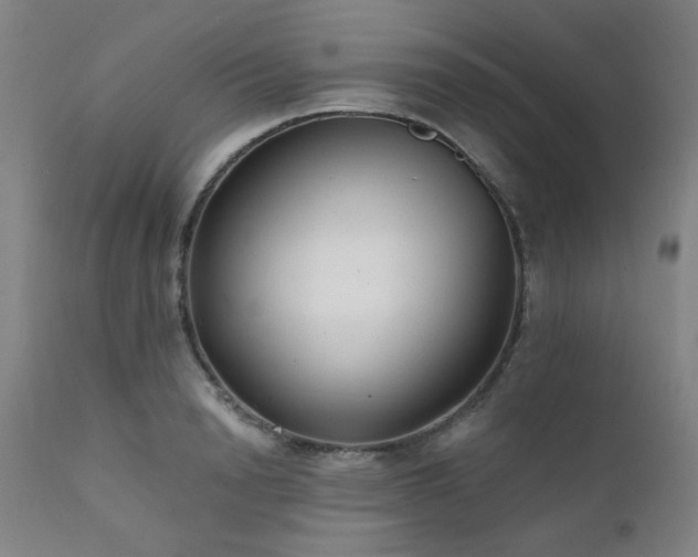 X0000111380846200907171221