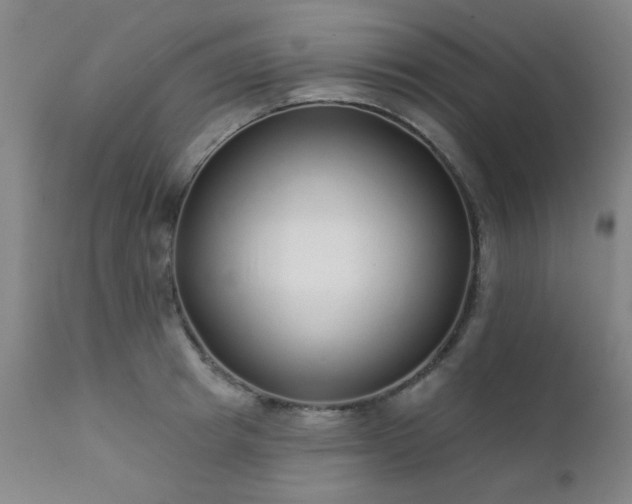 X0000111380849200907171221