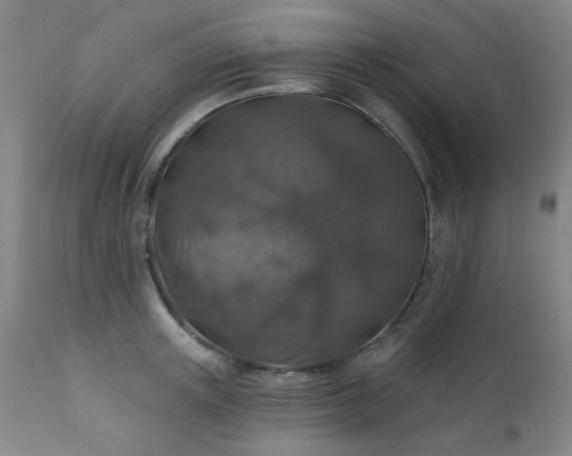 X0000111380851200907171221