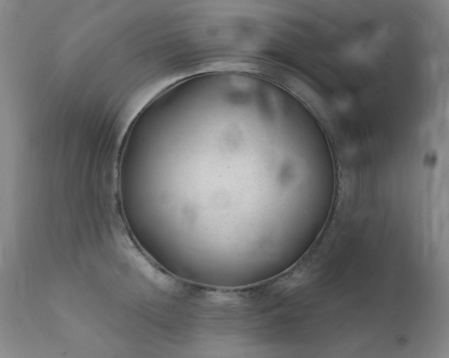 X0000111380852200907171221