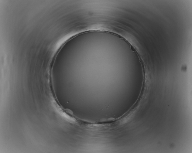 X0000111380854200907171221