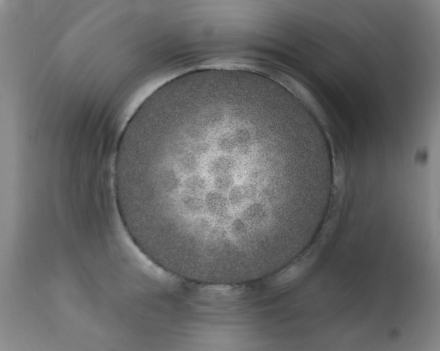 X0000111380855200907171221