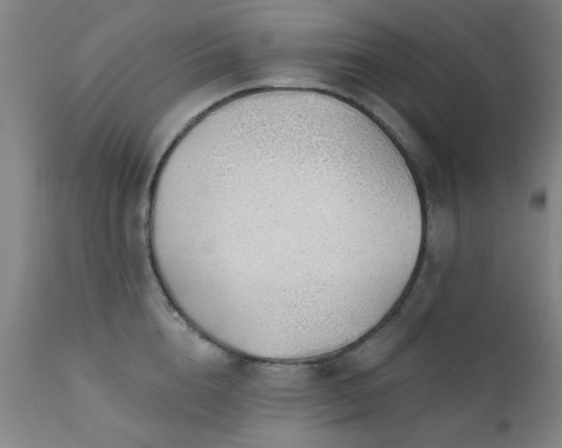 X0000111380856200907171221