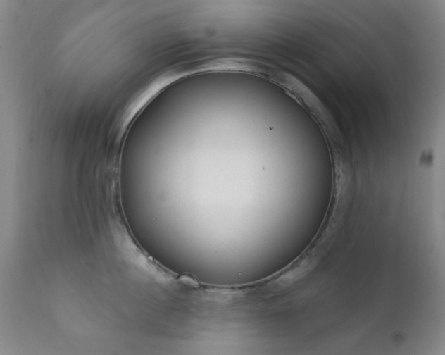 X0000111380860200907171221