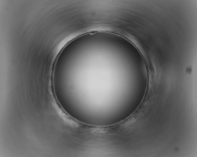 X0000111380861200907171221