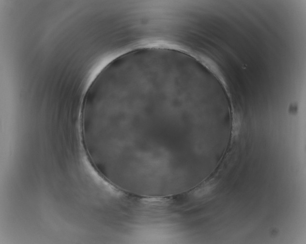 X0000111380863200907171221