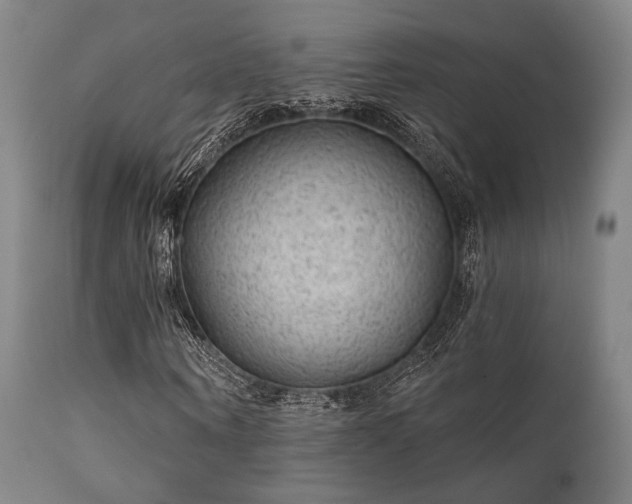 X0000111380866200907171220