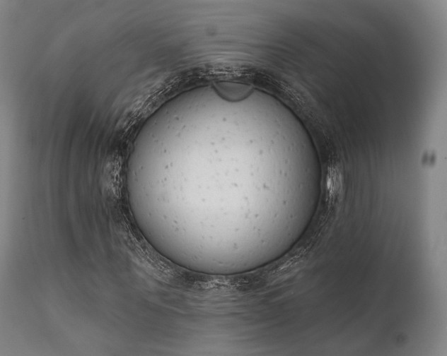 X0000111380867200907171220