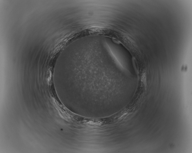 X0000111380868200907171220