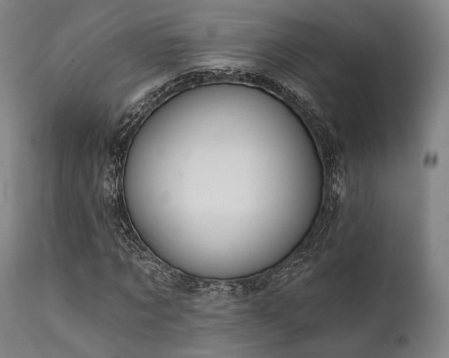 X0000111380869200907171220