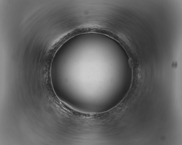 X0000111380872200907171220