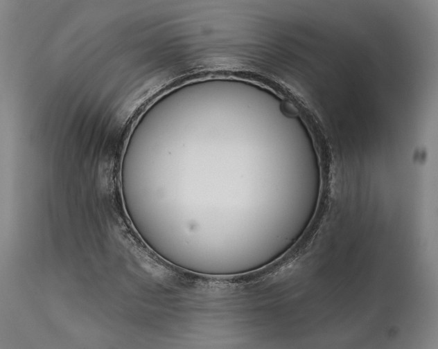 X0000111380873200907171220