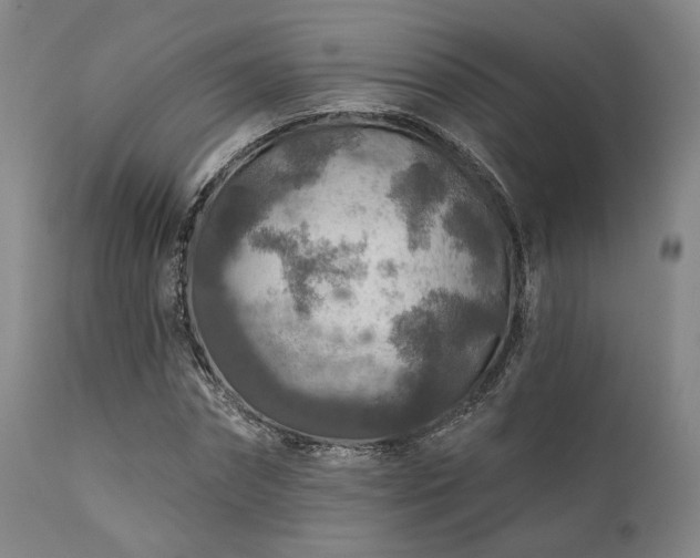 X0000111380874200907171220